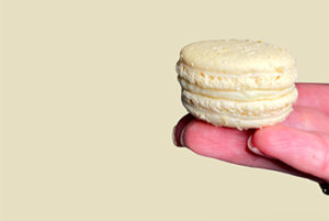 Acheter macaron salé france